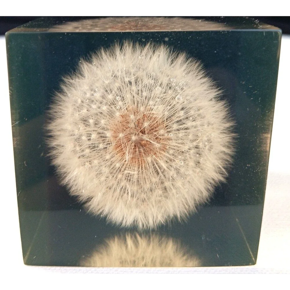 Vintage Dandelion Lucite Resin Cube Paperweight  Shoreline 2 3/8